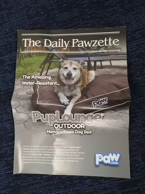 Outdoor Dog Bed (NEW IN BOX!) - Image 7